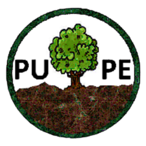 cropped-logo-pupe.png